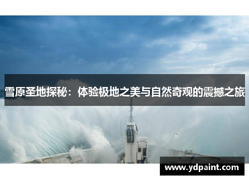 雪原圣地探秘:体验极地之美与自然奇观的震撼之旅 雪原圣地探秘:体验极地之美与自然奇观的震撼之旅
